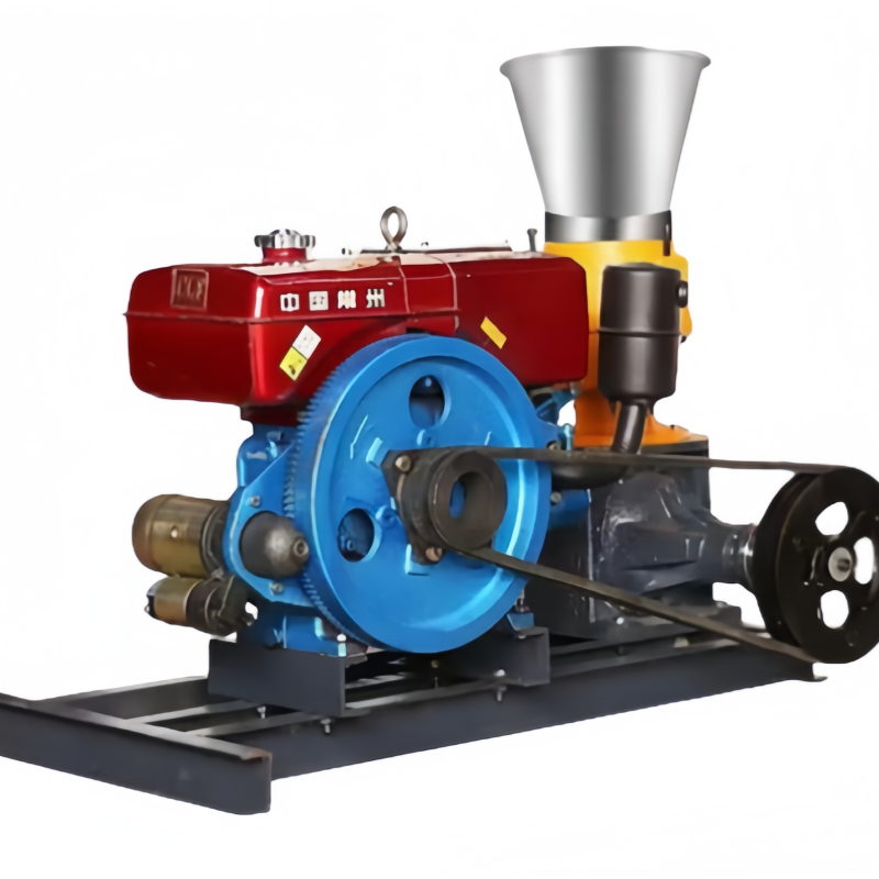 Hot Sale Chicken, Fish & Cattle Feed Pellet Making Machine With Motor