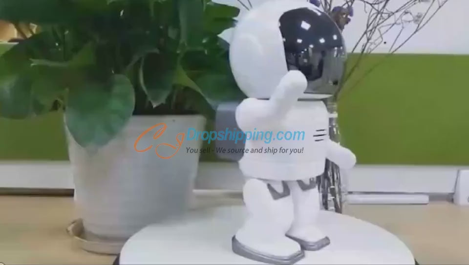 Robot monitoring camera