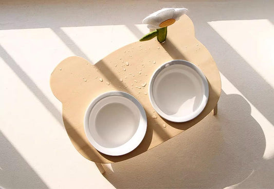 Tilted Daisy Pet Bowl With Stand